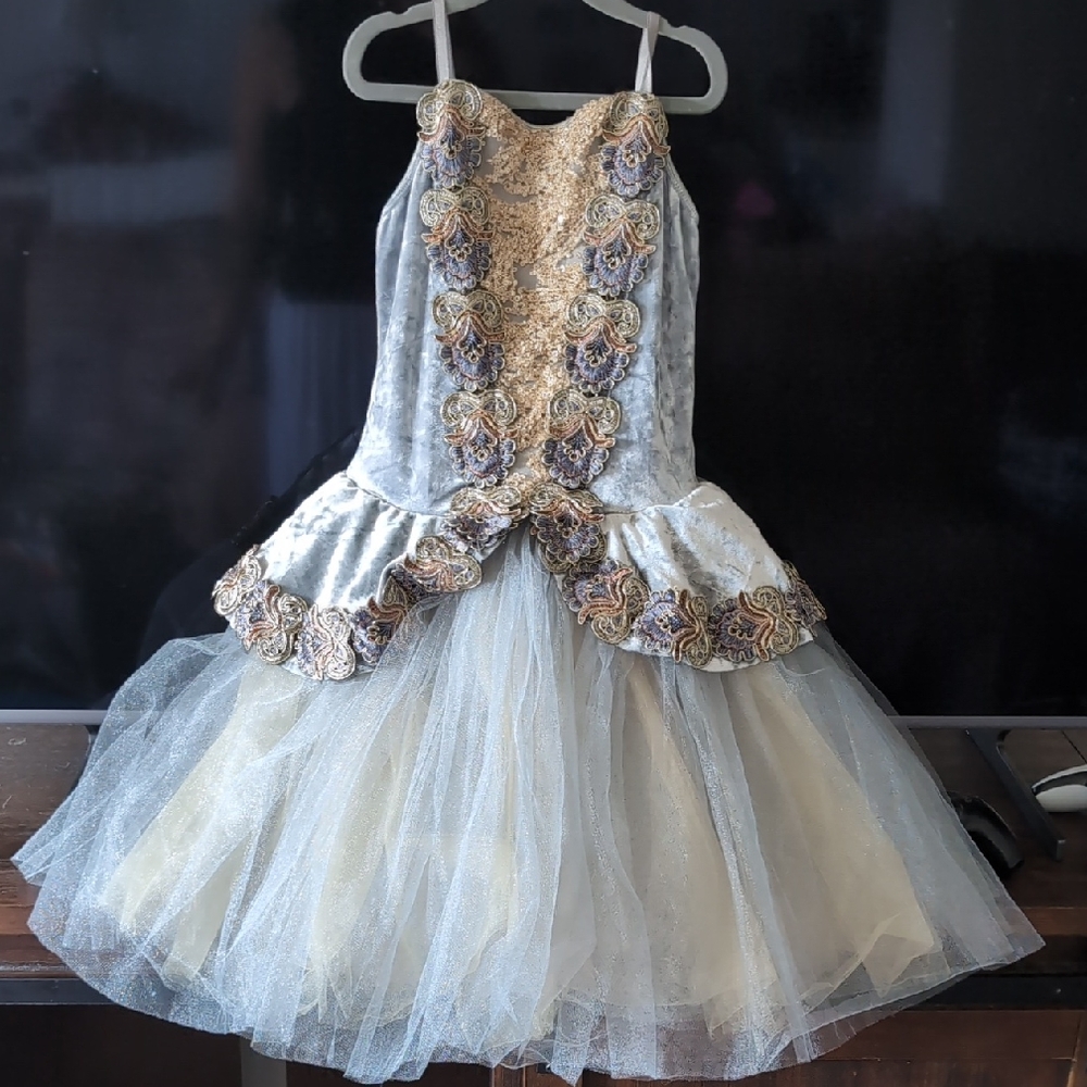 Charming Kids Dance Costume in Gold and Silver